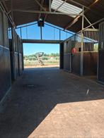 Govaplast stalgebouw, Dieren en Toebehoren