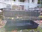 Dubbel konijn of cavia kooi, Dieren en Toebehoren, Minder dan 60 cm, Kooi, 110 cm of meer, Cavia
