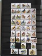 Set van 40 Belgische postzegels vogels „Buzin” uit België, Postzegels en Munten, Postzegels | Europa | België, Met stempel, Verzenden