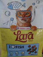 kattenbrokken, Ophalen of Verzenden, Kat