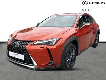 Lexus UX 250h Business Line  beschikbaar voor biedingen