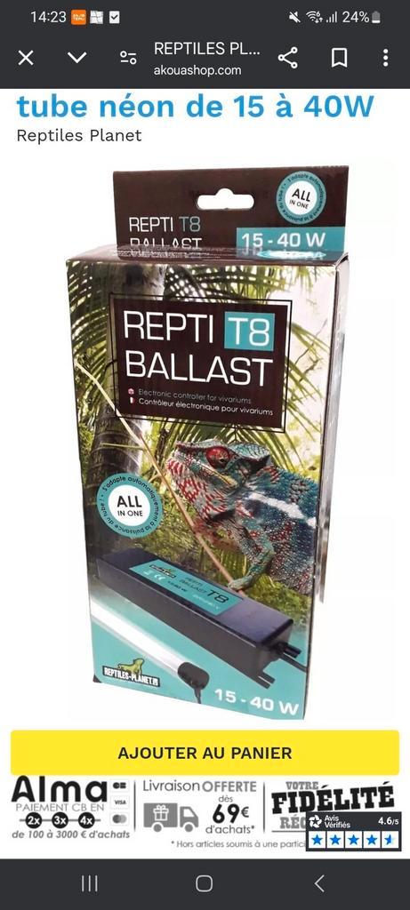 Ballast T8 néon Uvb pour reptiles/amphibiens, Animaux & Accessoires, Reptiles & Amphibiens | Accessoires, Utilisé, Terrarium ou Paludarium