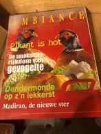 Ambiance, maandblad, 19e jaargang n 8 oktober 2004 + bijlage, Boeken, Ophalen of Verzenden, Zo goed als nieuw