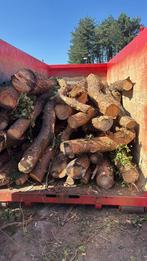 Containers hout te koop, 6 m³ of meer, Verzenden, Overige houtsoorten, Stammen