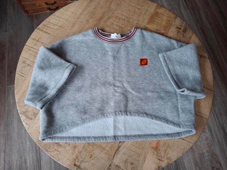MILO grijze sweater JBC, Kinderen en Baby's, Kinderkleding | Maat 164, Nieuw, Ophalen