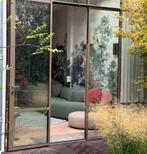 Deschampsia mooi siergras, Ne fleurit pas, Plein soleil, Enlèvement, Graminées ornementales