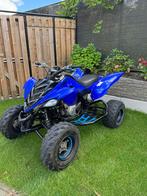 Raptor 700, Motoren, Quads en Trikes