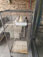 Parkieten, Dieren en Toebehoren, Vogels | Hokken en Kooien, Ophalen of Verzenden