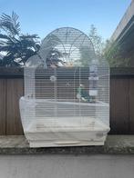 Man 2023 + vogelkooi, Dieren en Toebehoren, Vogels | Hokken en Kooien, Ophalen, Zo goed als nieuw, Vogelkooi