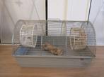 Hamsterkooi met benodigdheden, Dieren en Toebehoren, Knaagdieren en Konijnen | Hokken en Kooien, Kooi, Gebruikt, Minder dan 75 cm