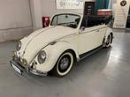 VW Kever Cabrio - 1966, Auto's, 4 cilinders, Cabriolet, Wit, Bedrijf