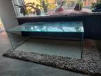 Aquarium, Dieren en Toebehoren, Ophalen of Verzenden