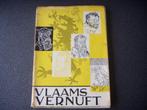 Vlaams vernuft - Louis Wachters, Ophalen of Verzenden, Gelezen