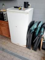 Gratis diepvries 125*60*60/5grote vakken, Ophalen, Gebruikt