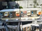 PVC kweekkooien 2 stuks 20 per stuk, Dieren en Toebehoren