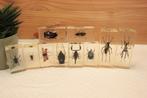 Taxidermie - Opgezette Insecten in epoxy, Verzamelen, Ophalen of Verzenden, Gebruikt, Insect, Opgezet dier