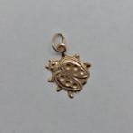 Gouden Hanger 14k - Lieveheersbeestje, Handtassen en Accessoires, Ophalen of Verzenden, Zo goed als nieuw, Goud, Goud