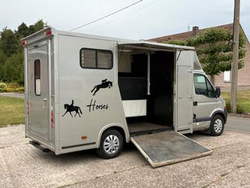 Renault Master 2.5DCI Paardencamionette Horses Chevaux beschikbaar voor biedingen