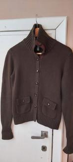 Prachtig vest medium Ralph Lauren., Ralph Lauren, Enlèvement ou Envoi, Comme neuf, Taille 38/40 (M)