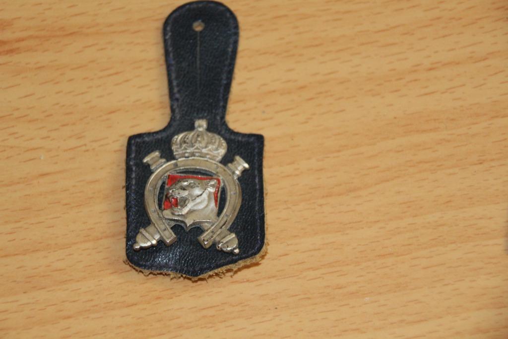 ABL „19 ACH” -borsthanger, Verzamelen, Militaria | Algemeen, Landmacht, Embleem of Badge, Verzenden