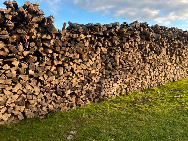 Bois de chauffage sec, Tuin en Terras, Brandhout, Blokken, Beukenhout, 6 m³ of meer, Ophalen