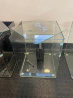Dennerle nano cube aquarium 30 l. doe bod, Dieren en Toebehoren, Ophalen, Gebruikt