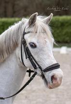 Brave b pony te koop, Dieren en Toebehoren, Ruin, Niet van toepassing, B pony (1.17m tot 1.27m), 11 jaar of ouder