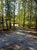 Bouwgrond van 4233m2 in Neuville (Philippeville)., Immo, Neuville Philippeville, Verkoop zonder makelaar, 1500 m² of meer