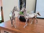 Set duo paarden, Ophalen of Verzenden