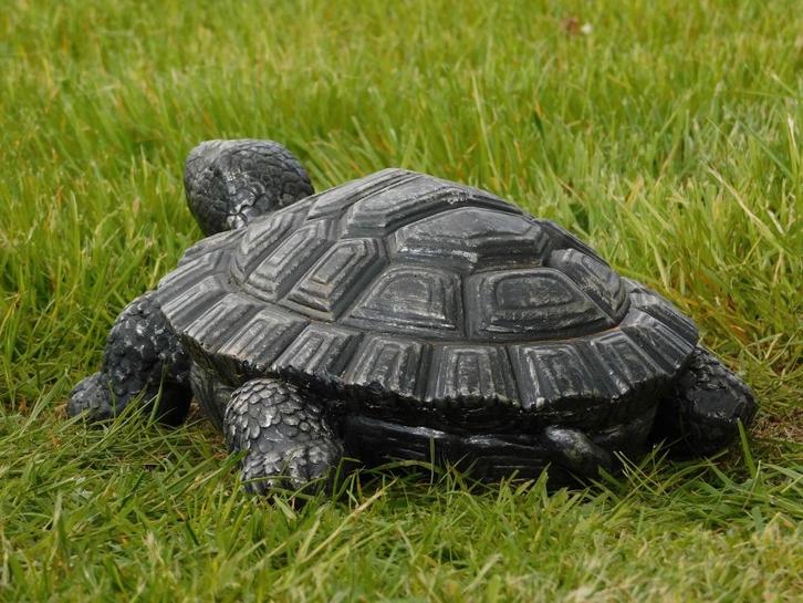 Beeld Schildpad - 32 cm - Magnesia, Tuin en Terras, Tuinbeelden, Dierenbeeld, Kunststof, Ophalen of Verzenden