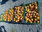 Appels te koop 1.5 per kg, Diversen, Levensmiddelen, Ophalen