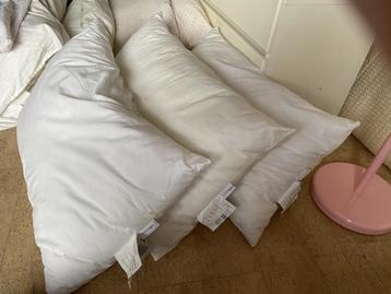 Hoofdkussen, veel verschillende beschikbaar voor biedingen