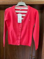 Nieuwe trui/pull/gillet LolaLiza maat 38, Ophalen, Nieuw, Maat 38/40 (M)