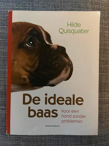 Hilde Quisquater - De ideale baas beschikbaar voor biedingen