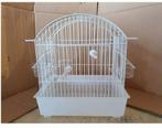 Witte transport kooi 29x20x30 - Winkel en Webshop, Ophalen, Nieuw, Kunststof
