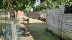 Alpacawol, Ophalen, Nieuw, Overige typen