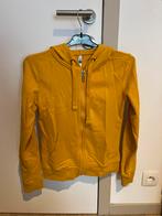 Vest (Xs), Kinderen en Baby's, Kinderkleding | Maat 152, Ophalen, Zo goed als nieuw