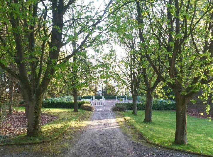 Pensions prairies, stabulations ou boxes pres d'Aywaille, Dieren en Toebehoren, Stalling en Weidegang
