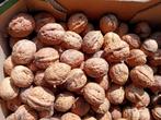 5kg verse lekkere okkernoten walnoten, Ophalen