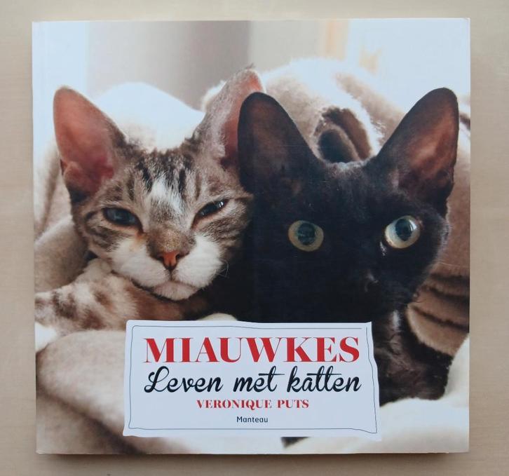 NIEUW - Veronique Puts - Miauwkes, Boeken, Dieren en Huisdieren, Nieuw, Katten, Ophalen of Verzenden