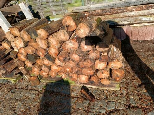 Zeer droge mengeling kwaliteitshout, Tuin en Terras, Brandhout, Blokken, Eikenhout, 6 m³ of meer, Ophalen