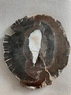 Versteend Hout/Nieuw, Enlèvement ou Envoi, Neuf