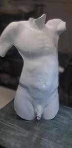Mannelijke Torso, Ophalen