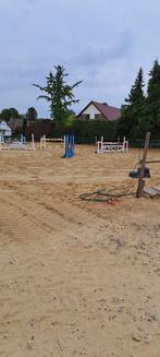 Paardenstal te huur, Dieren en Toebehoren, Stalling en Weidegang