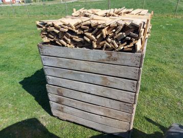 Paletten Brandhout Per Bak Inhoud 125x125x170 beschikbaar voor biedingen