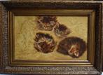 Kattenstudie==Alice Ronner 1857-1957, Antiek en Kunst, Kunst | Schilderijen | Klassiek, Ophalen of Verzenden