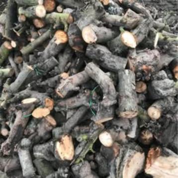 BRANDHOUT - APPEL - droog - 30- 35 cm gezaagd beschikbaar voor biedingen