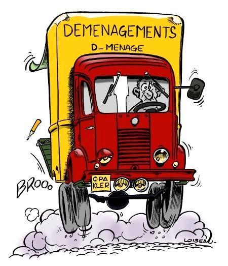 propose grande camionnette+remorque,déménagement,livraison, Livres, Transport, Comme neuf, Enlèvement ou Envoi