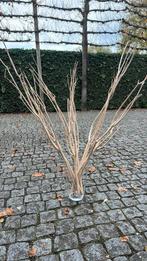 Decoratie paas (kerst) takken, Ophalen