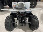 Yamaha Raptor 50 4 TEMPS, Motoren, 11 kW of minder, 50 cc